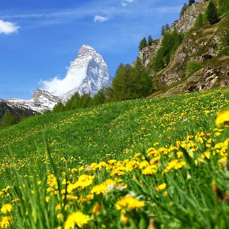 Apartment Monazit By Interhome Zermatt